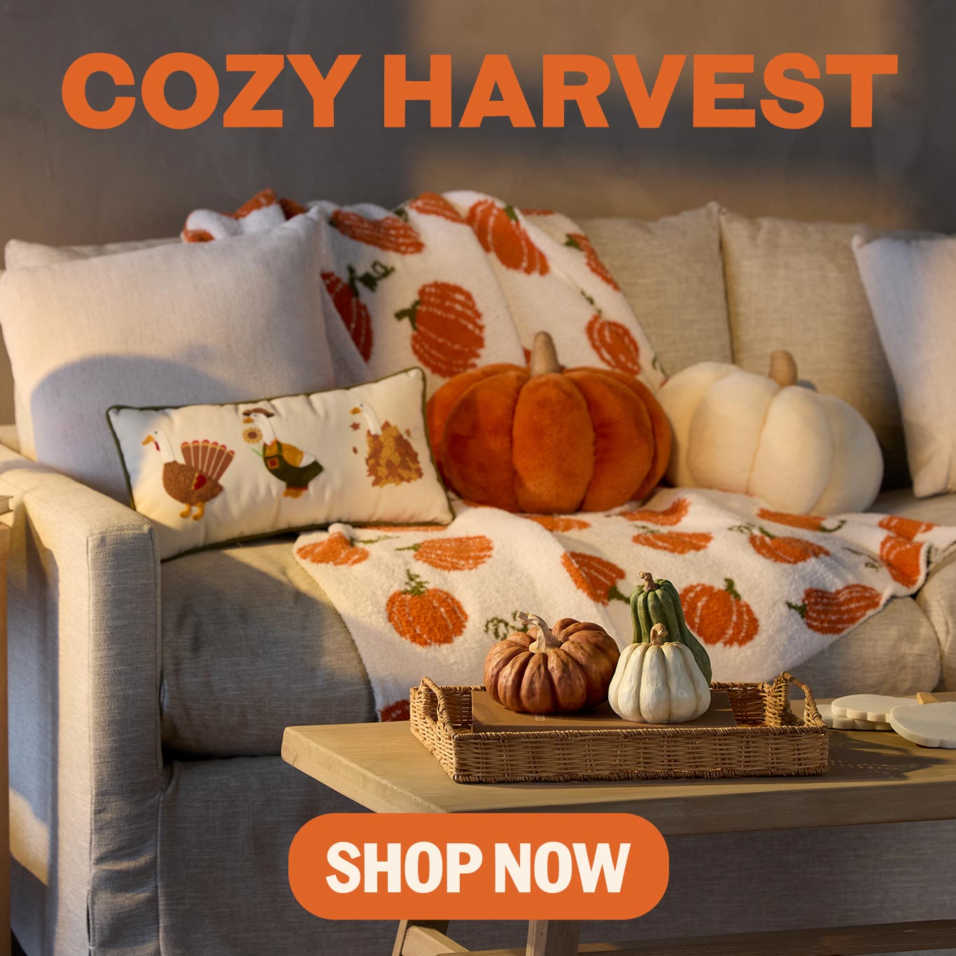 Shop Harvest Collection